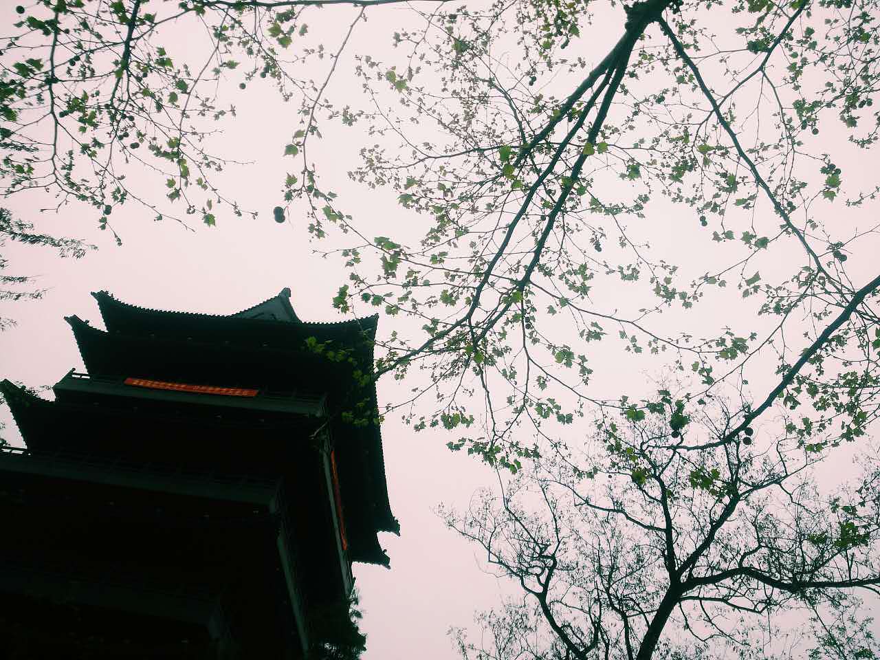 风景 静物 [手机摄影]