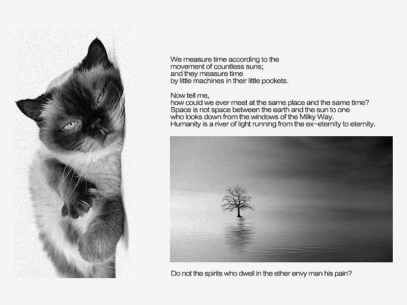 【排版练习】沙与沫（图ZMTA5NjA4NjIw） - 书籍/画册 - 站酷设计师花家摘叶原创素材 - 站酷ZCOOL