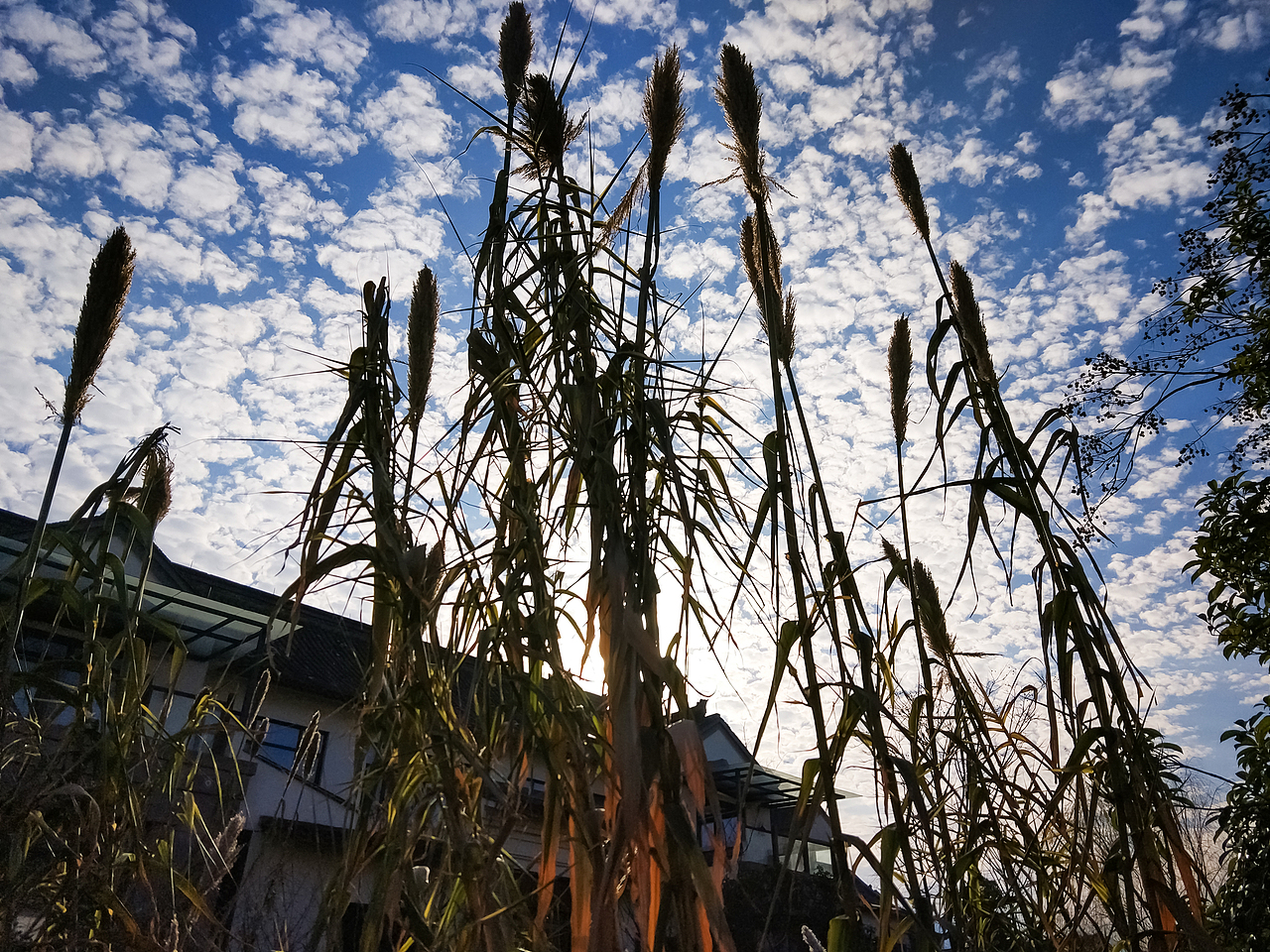 抬头看下冻碎的云