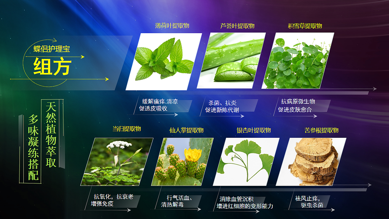 蝶侣,一款私护产品从命名到市场推广的全套策划方案