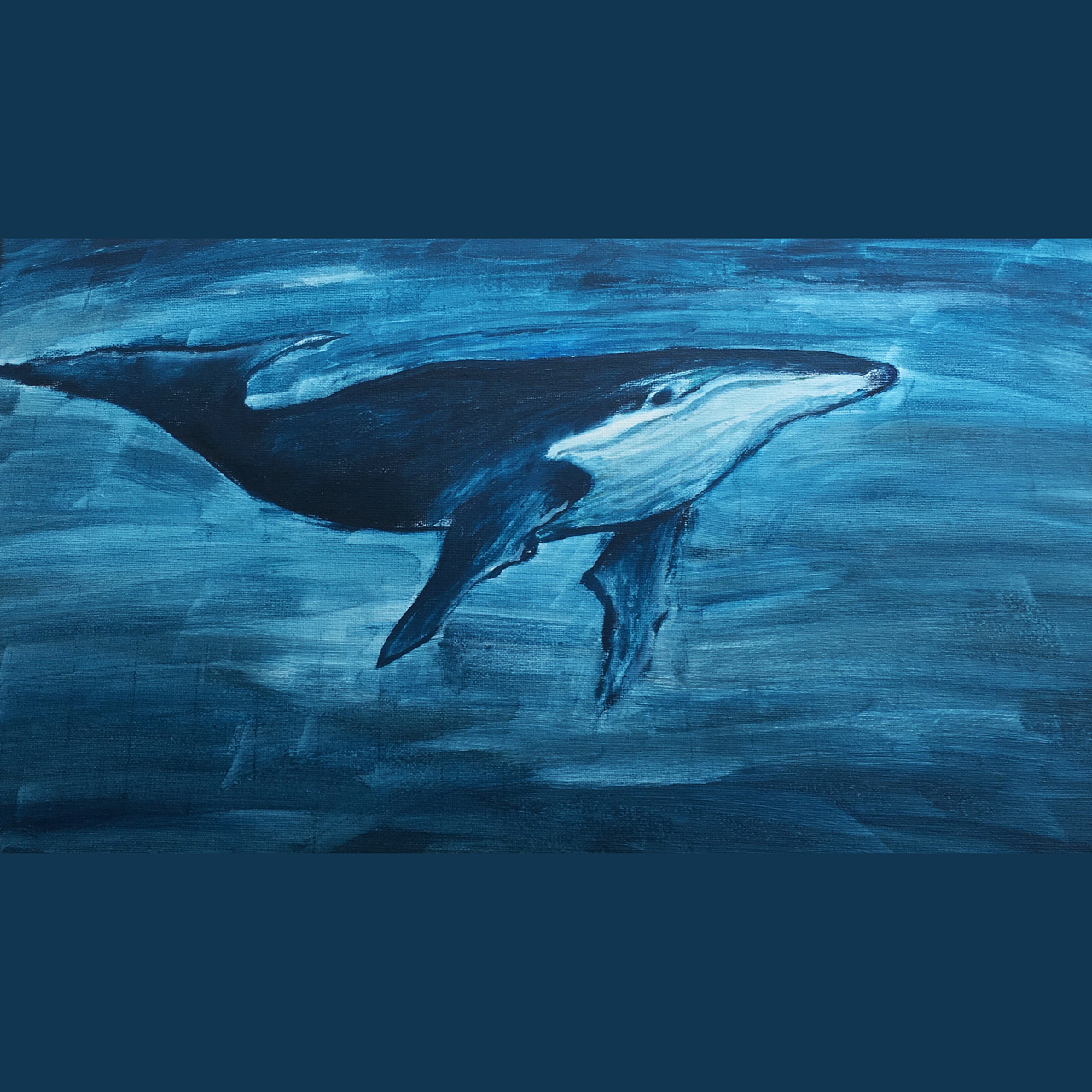 一只鲸鱼