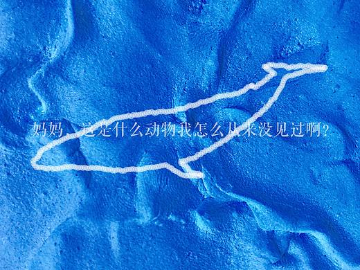 公益海报-保护海洋生物