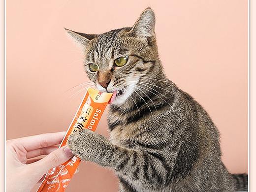 DREAM CAT 猫条产品外包装设计以及产品详情