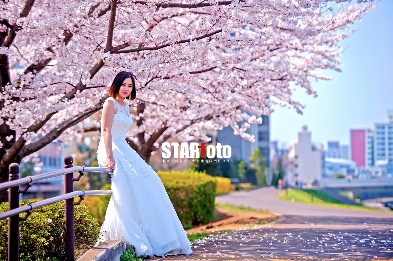 你-印相星空(STAR Foto)东京樱花季海外旅拍婚