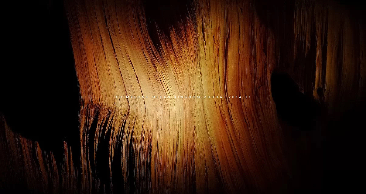 三年前的珠海长隆海洋王国