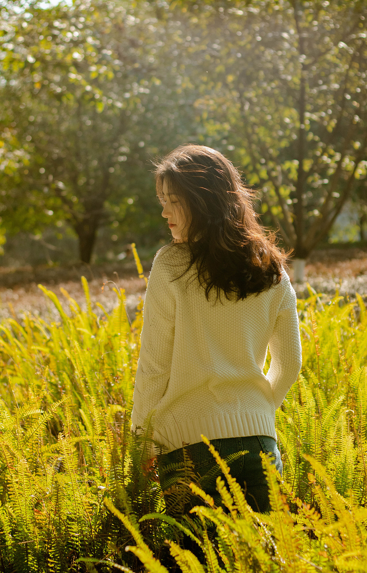 我在名为秋天的路上遇见你