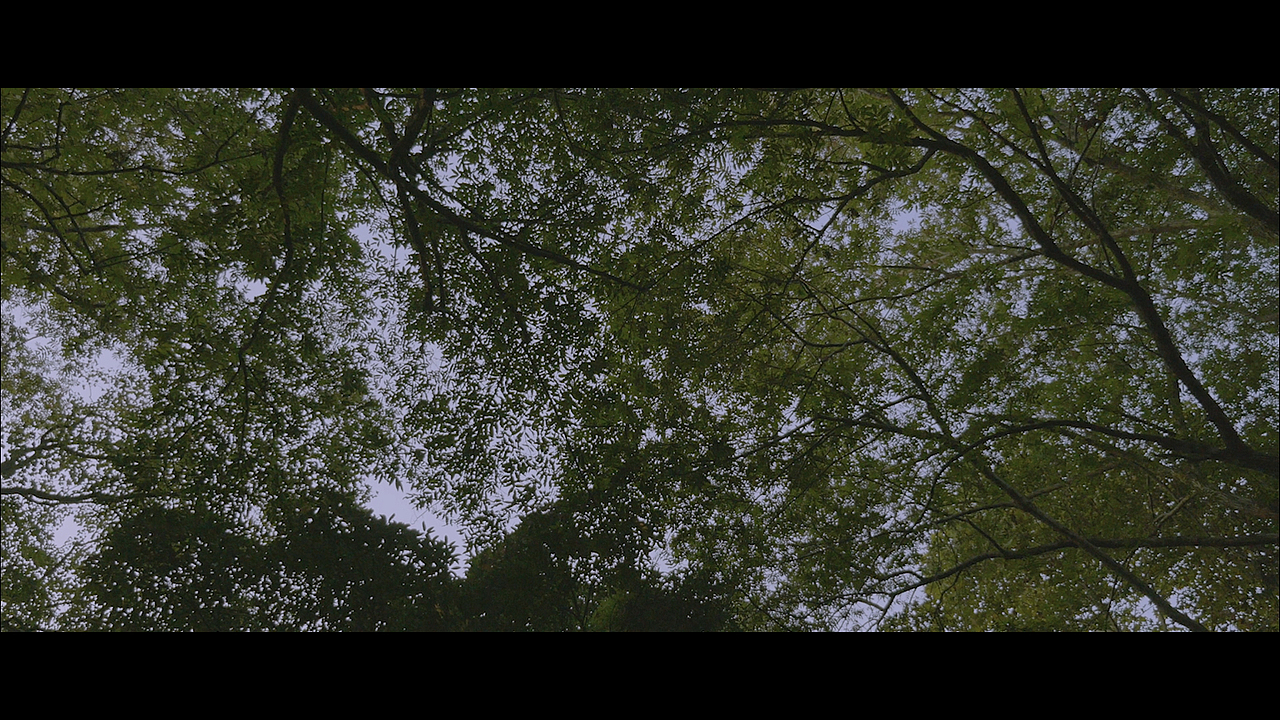 杭州-意境 Hangzhou-artistic conception 01:16