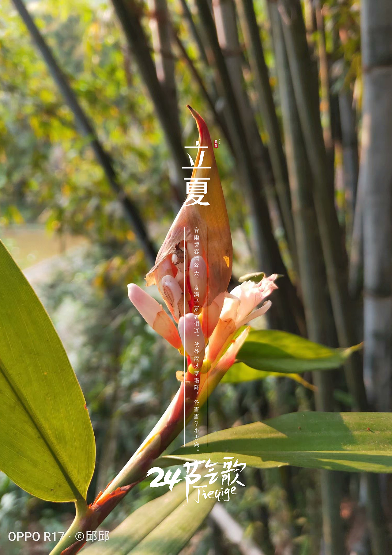 24节气之镜头下（图ZMjYzNTM2MzE2） - 人文/纪实摄影 - 站酷设计师杞子呆呆原创素材 - 站酷ZCOOL