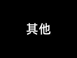 其他项目