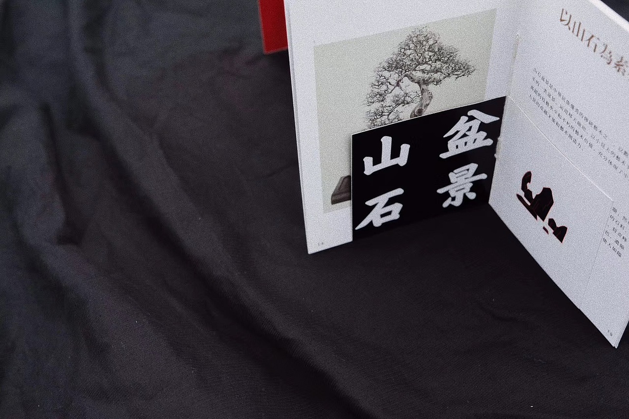 《壶中天地》中国盆景文化简介手册