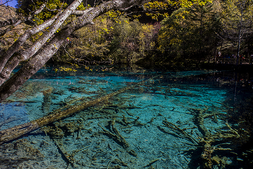 2014·10九寨沟（图ZMjA5NDc5MzY=） - 风光摄影 - 站酷设计师RyanShao原创素材 - 站酷ZCOOL
