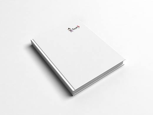 食趣石代（个人主页-ZMjgxMDU5MDQ=） - 书籍/画册 - 站酷设计师丰子丰Lion原创素材 - 站酷ZCOOL