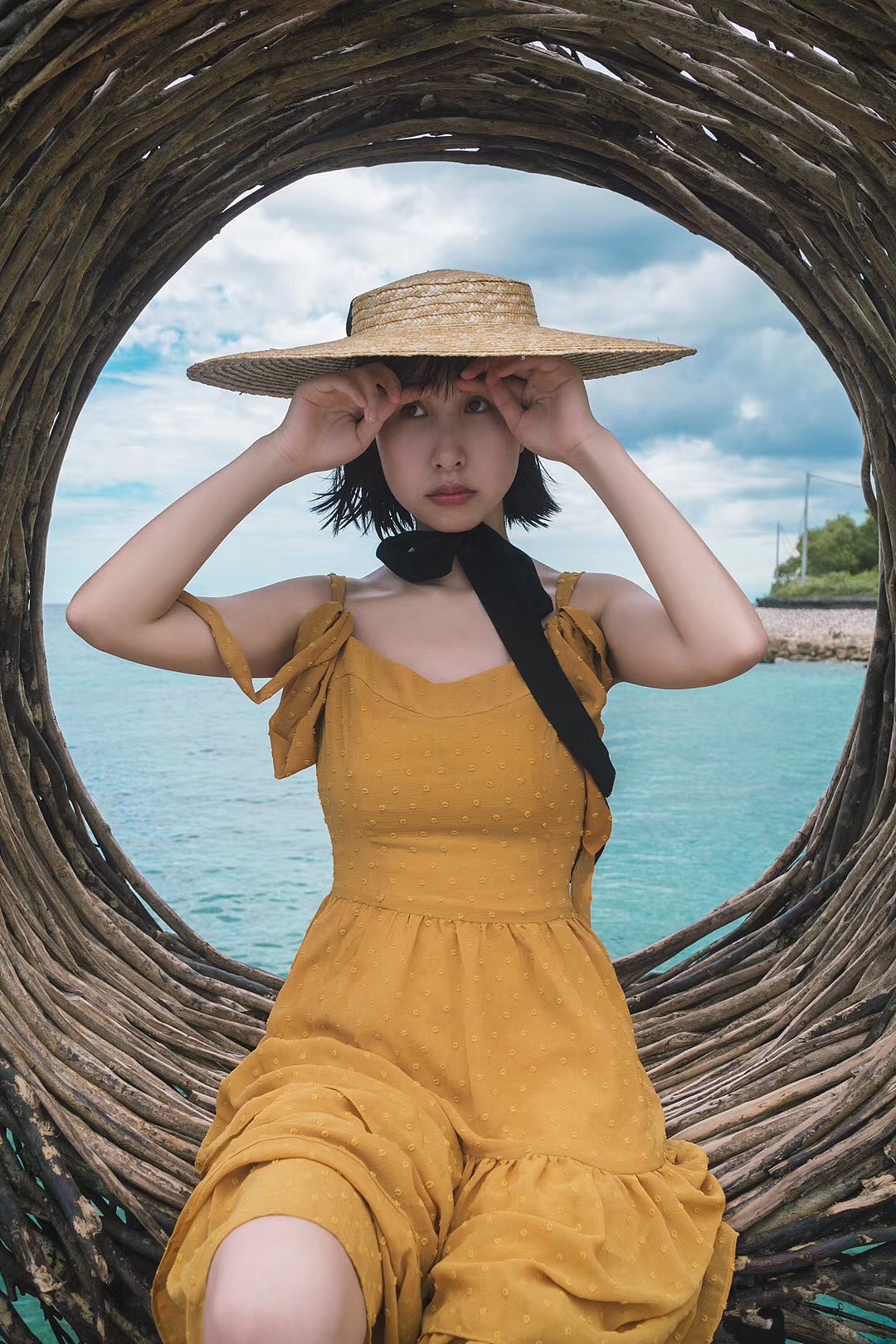 向日葵与雏菊的夏天