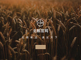 Web design 企业网站设计