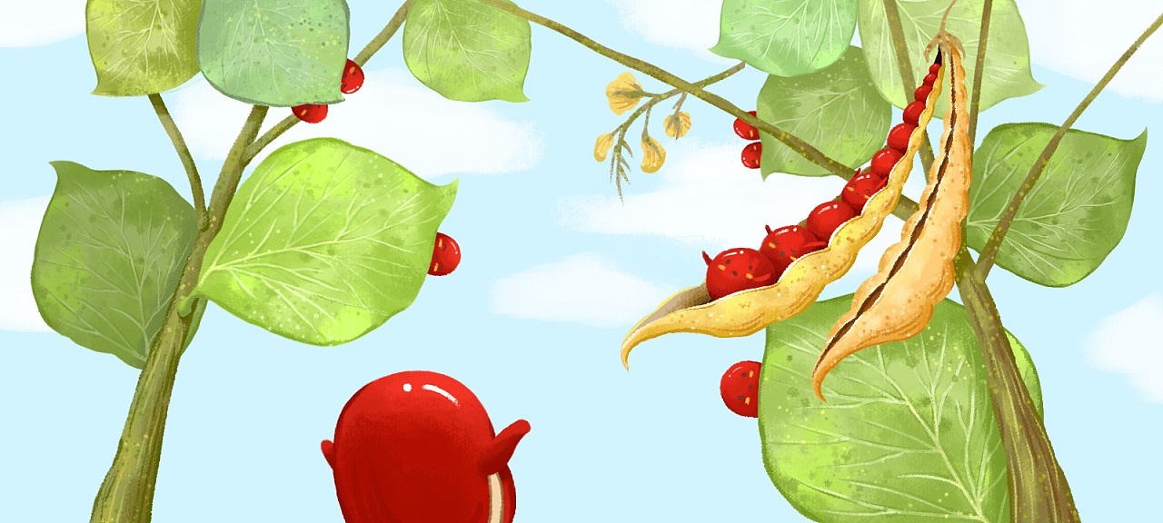 小种子找妈妈|插画|儿童插画|能莹莹ying - 原创作品 - 站酷 (zcool)