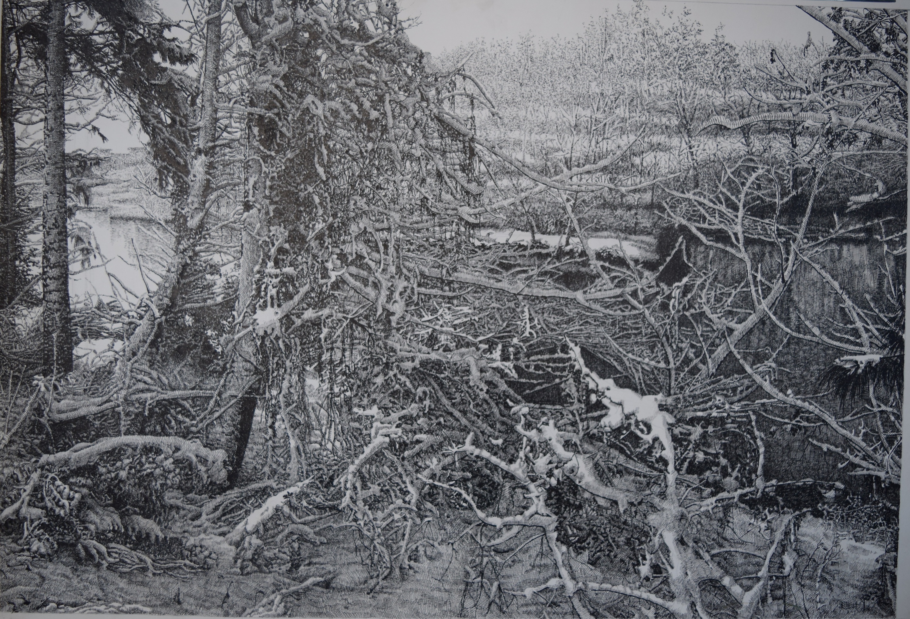 这些年画的一些钢笔画