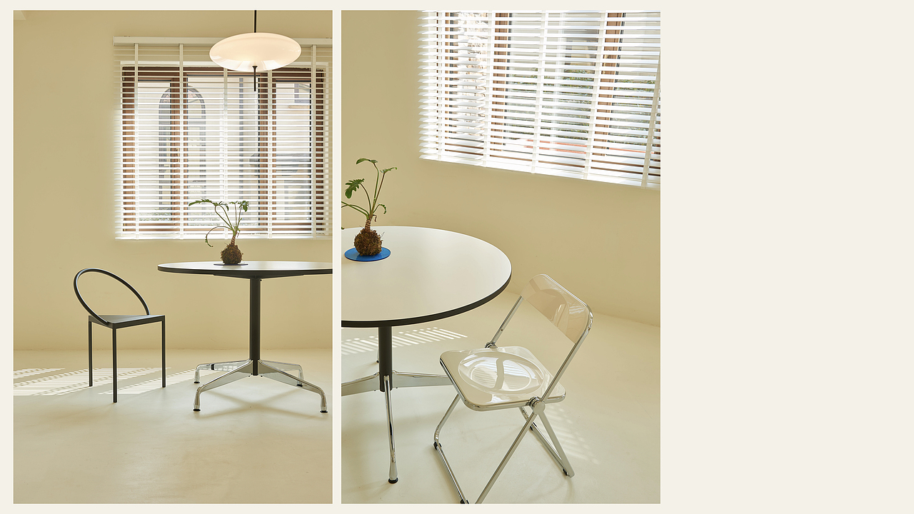 新工作室毕业照 / 西蓝摄影空间