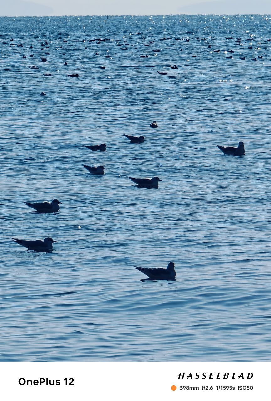 青岛真的是一个特别浪漫的城市