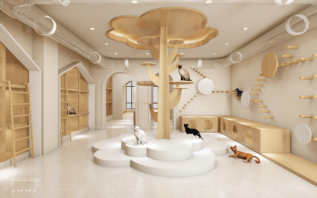 宠物店|空间|家装设计|已夏设计_原创作品-站酷zcool