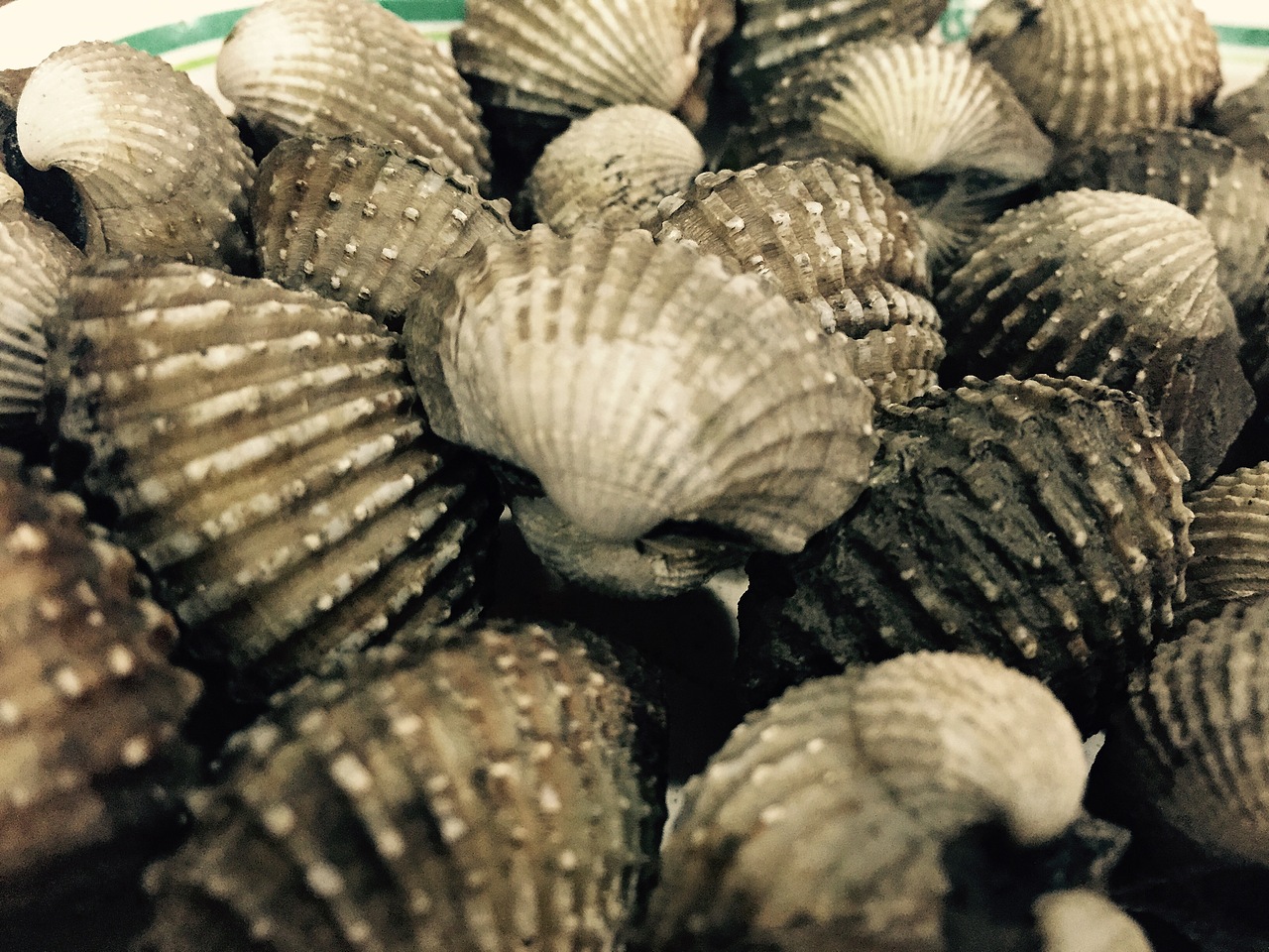 自由之地——泰国旅拍(花絮)