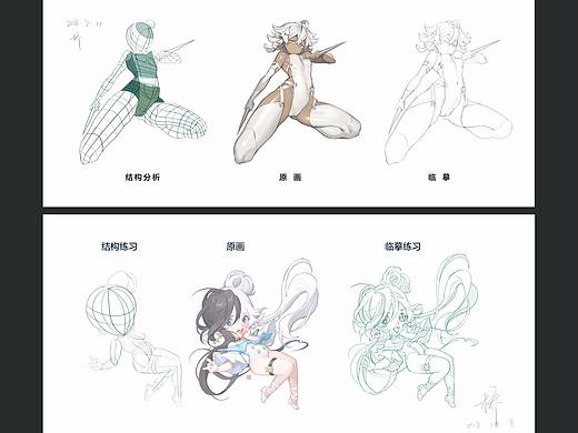 人体结构
