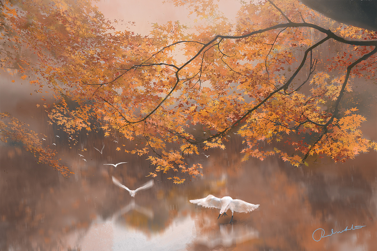 雾中风景系列合集