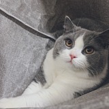 hey_ImAmber的头像