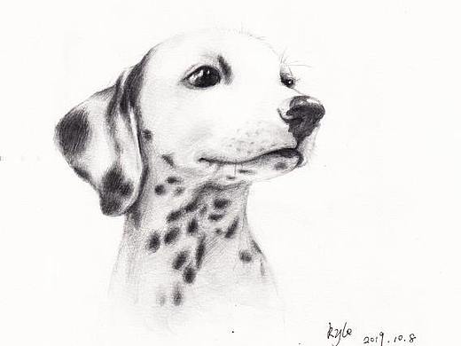手绘狗狗 斑点kyle