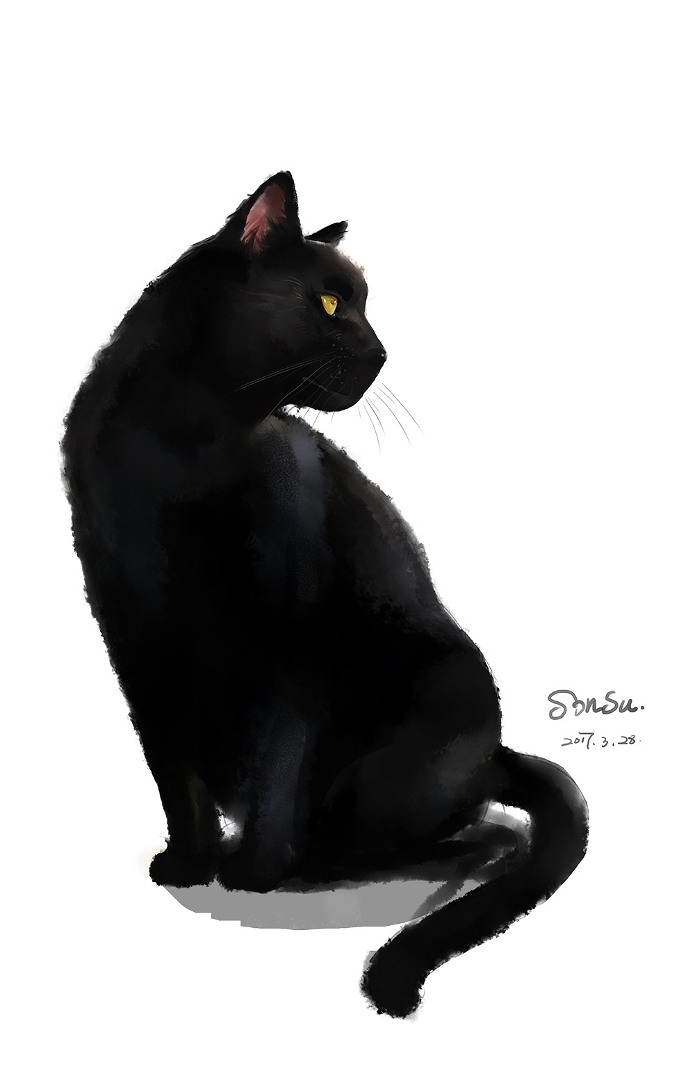 手绘黑猫 收藏 黑猫 21