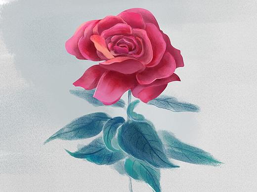 花系列（个人主页-ZMzE3NTU2NzI=） - 艺术插画 - 站酷设计师青草么么原创素材 - 站酷ZCOOL