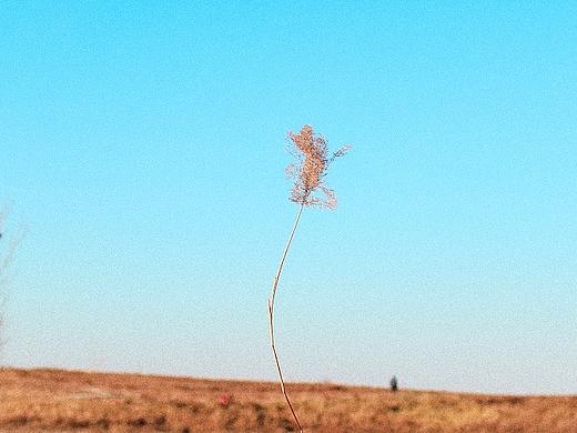 随拍｜中门寺暖秋