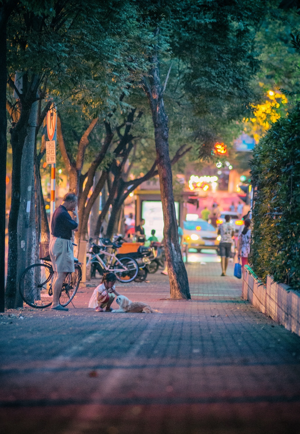 南京街头,傍晚至暮