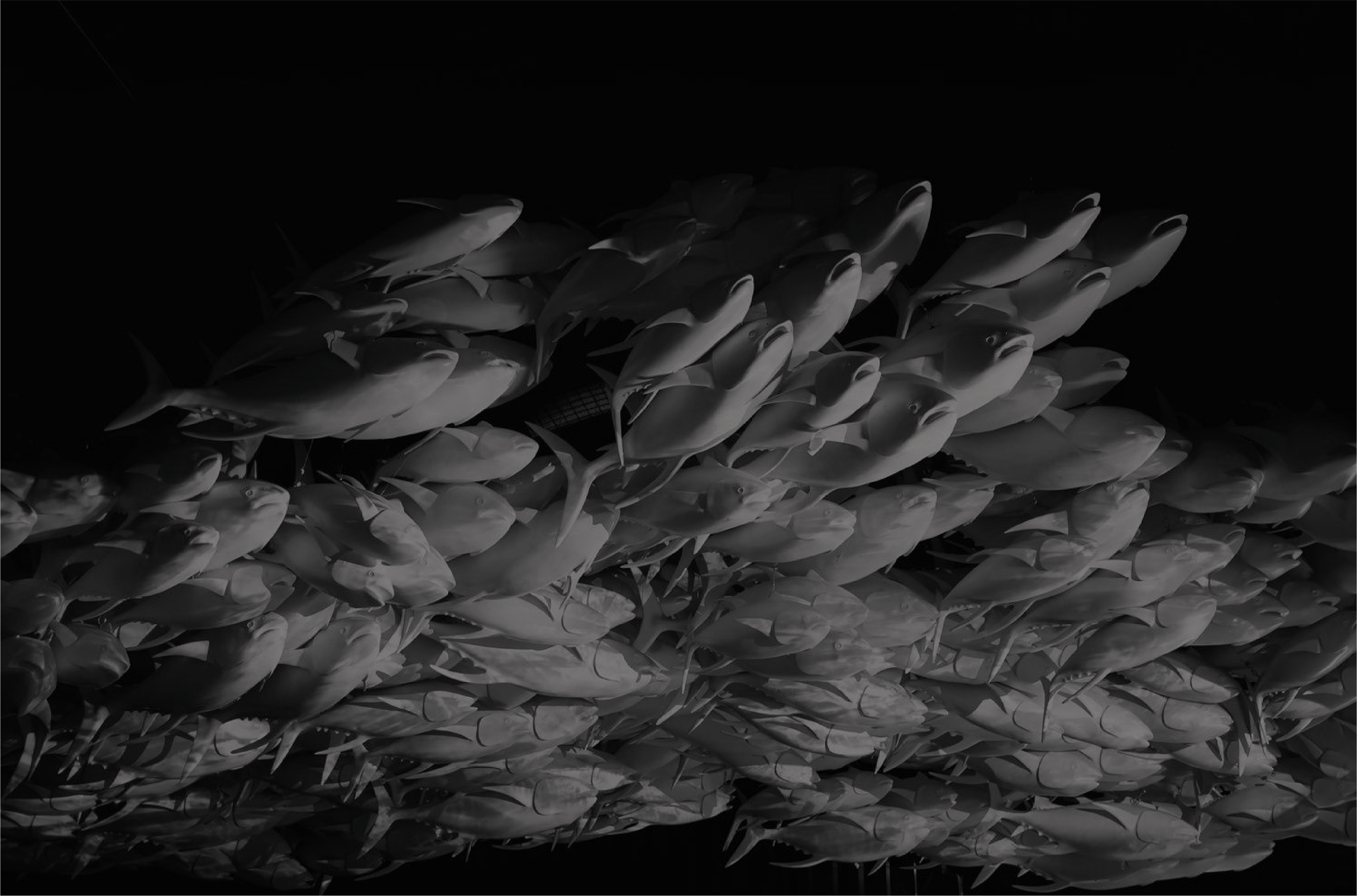 鹿子安生的個人主頁（封面預(yù)覽） - 主頁封面設(shè)置 - 站酷設(shè)計師鹿子安生原創(chuàng)素材 - 站酷ZCOOL