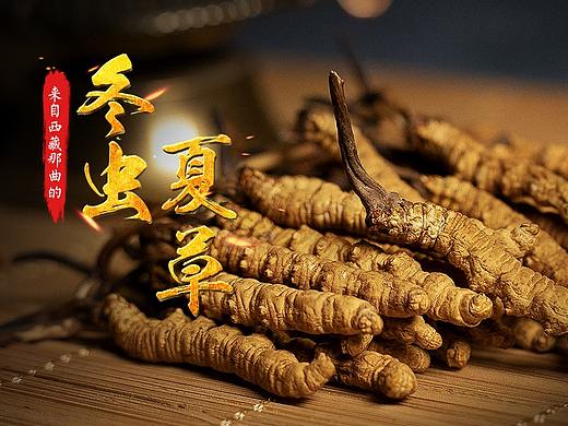 那曲冬虫夏草详情