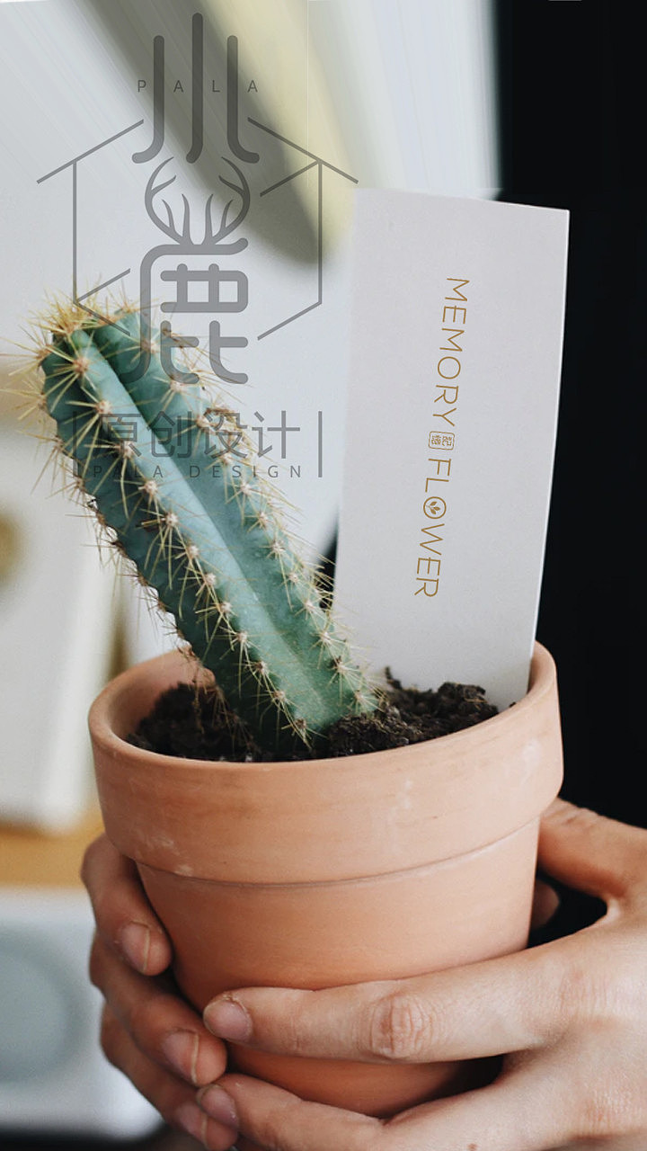 更新一组花店、花艺品牌logo设计 丨 記憶