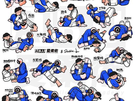巴西柔术 位置与动作20枚
