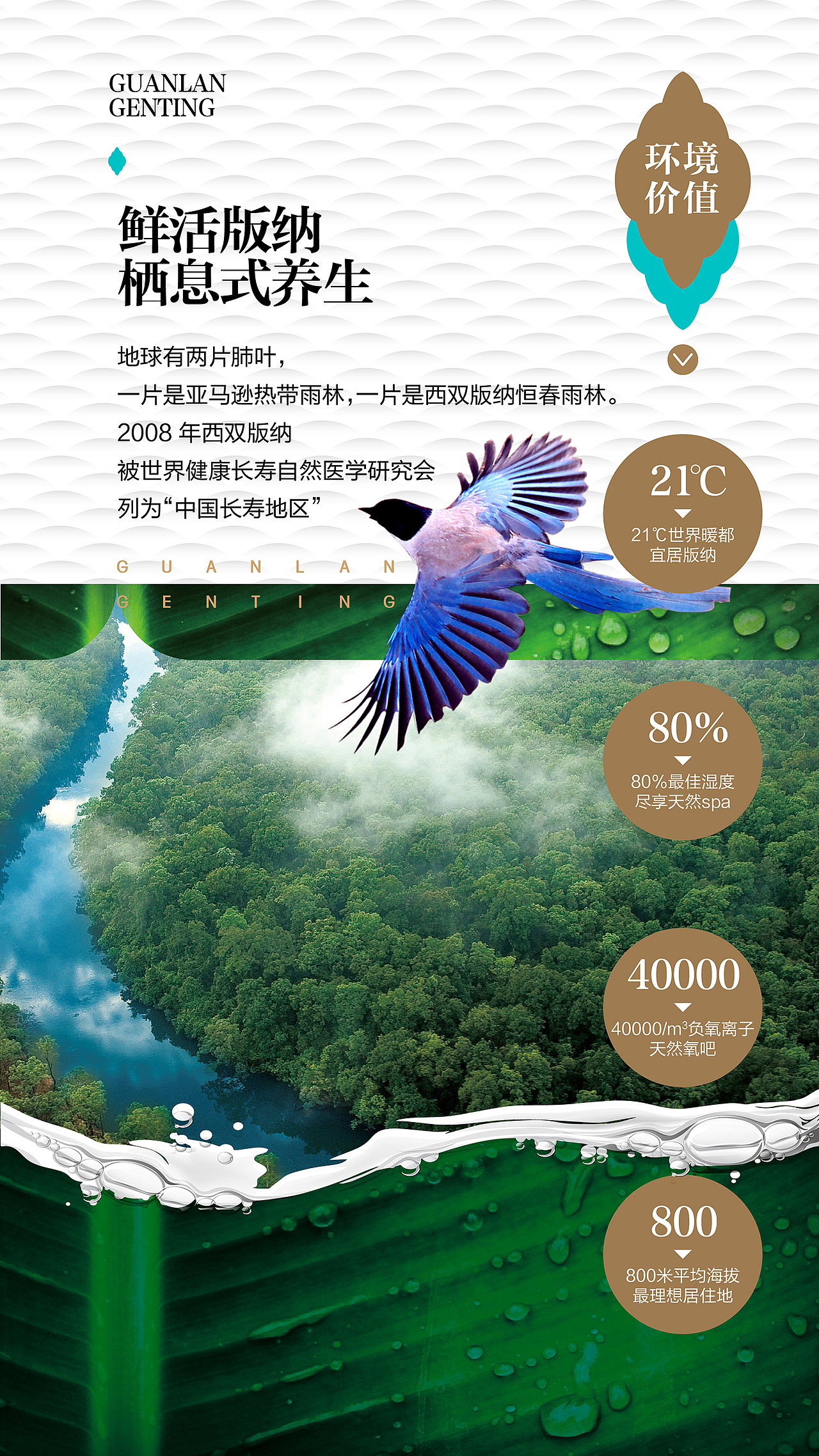 观澜云顶微楼书设计