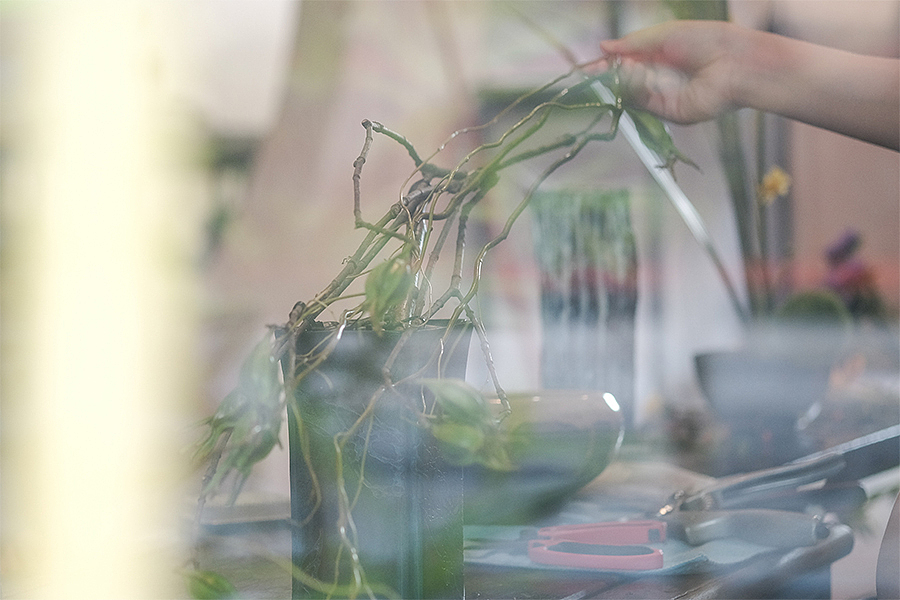 五玄土 || 花器《若兰》