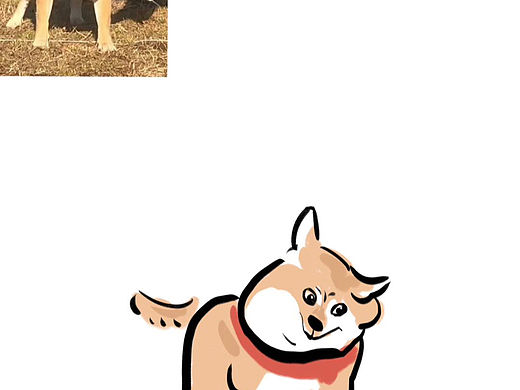 《我的网络宝贝们》