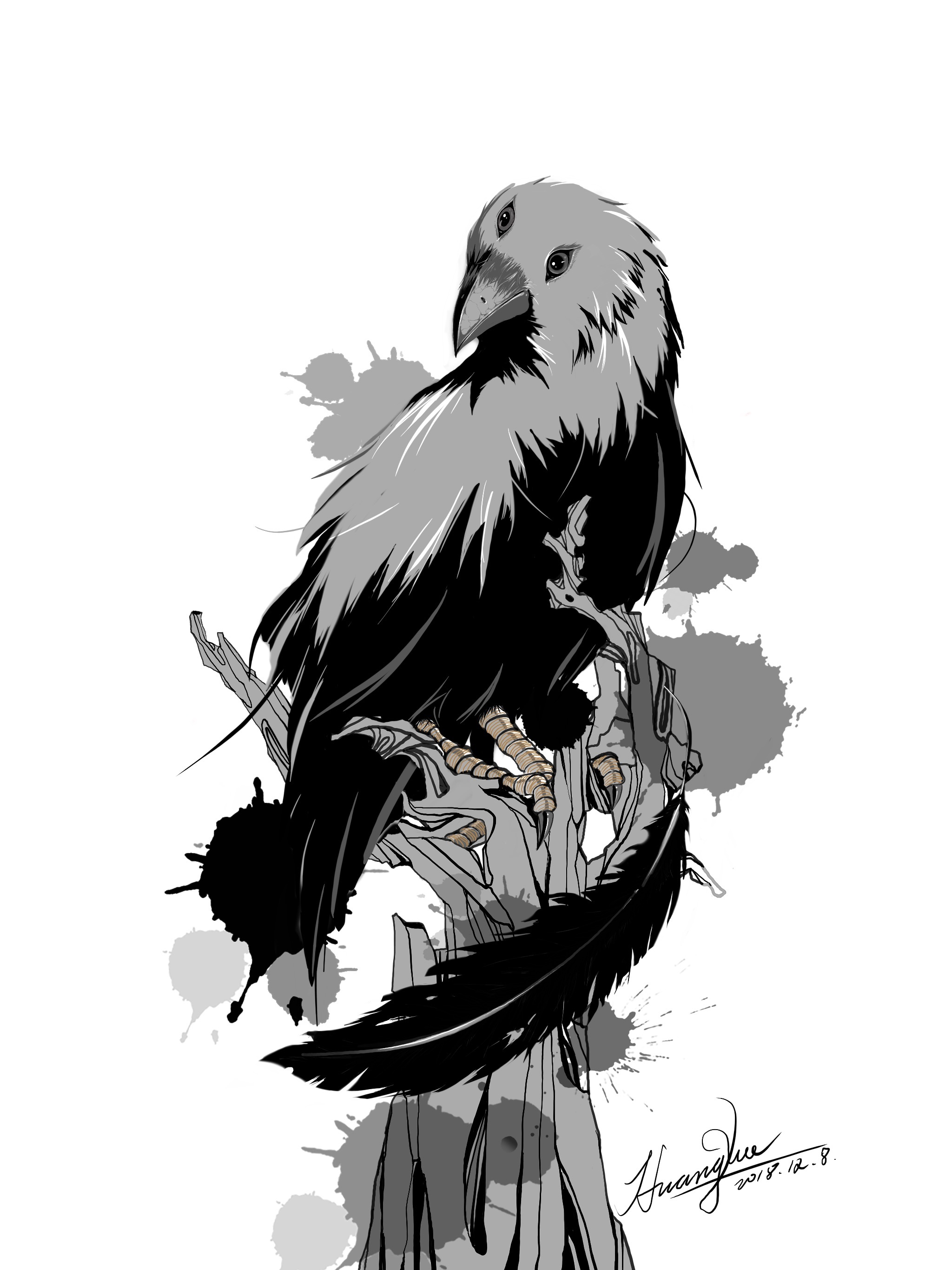 鸦crow|插画|商业插画|vectorclown - 原创作品 - 站酷 (ZCOOL)
