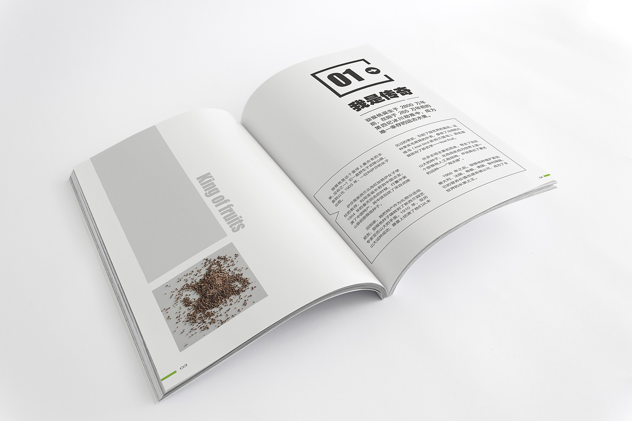 果王画册（图ZMjczOTIyOTI=） - 书籍/画册 - 站酷设计师快乐的年糕原创素材 - 站酷ZCOOL