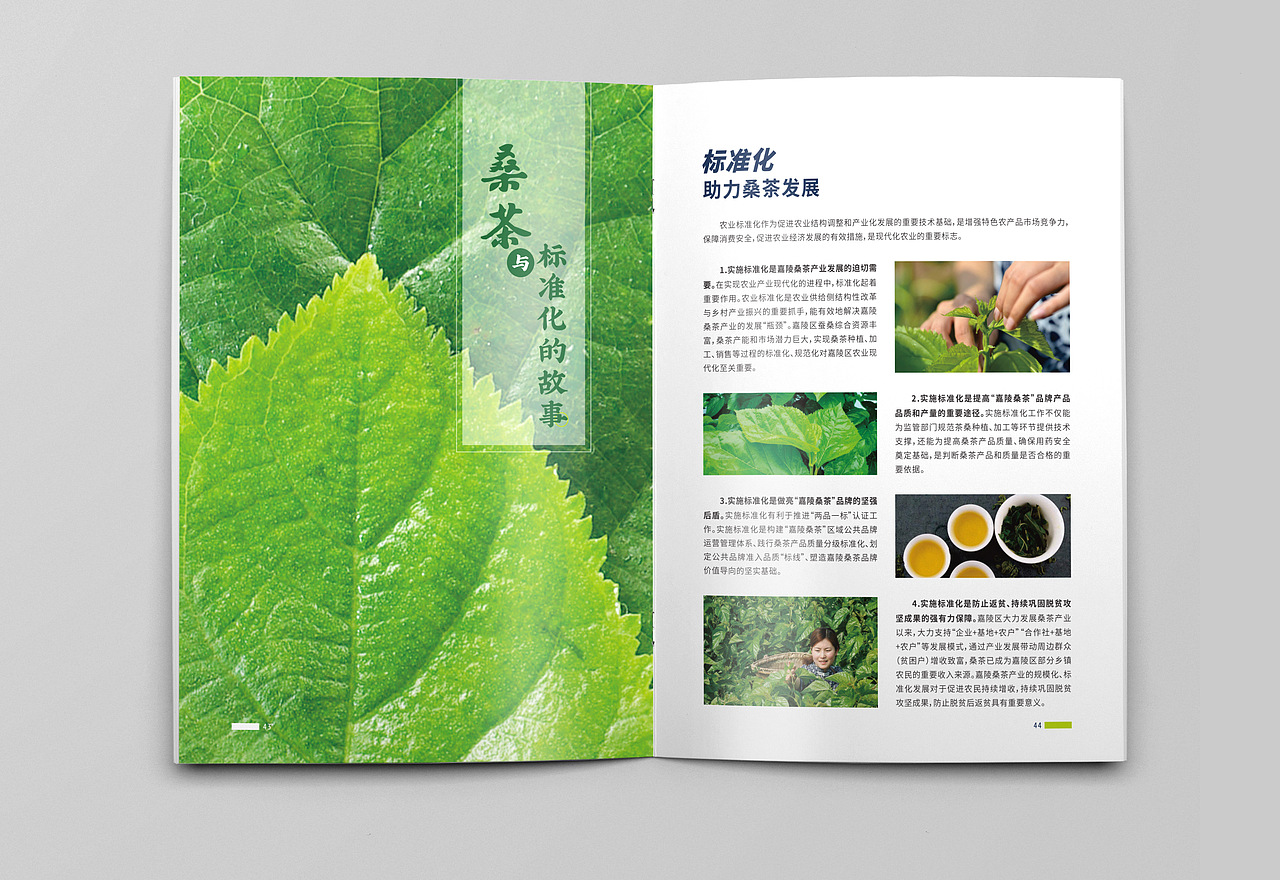 惟桑 农业画册（图ZMjgxNDA5NDcy） - 书籍/画册 - 站酷设计师不救l原创素材 - 站酷ZCOOL