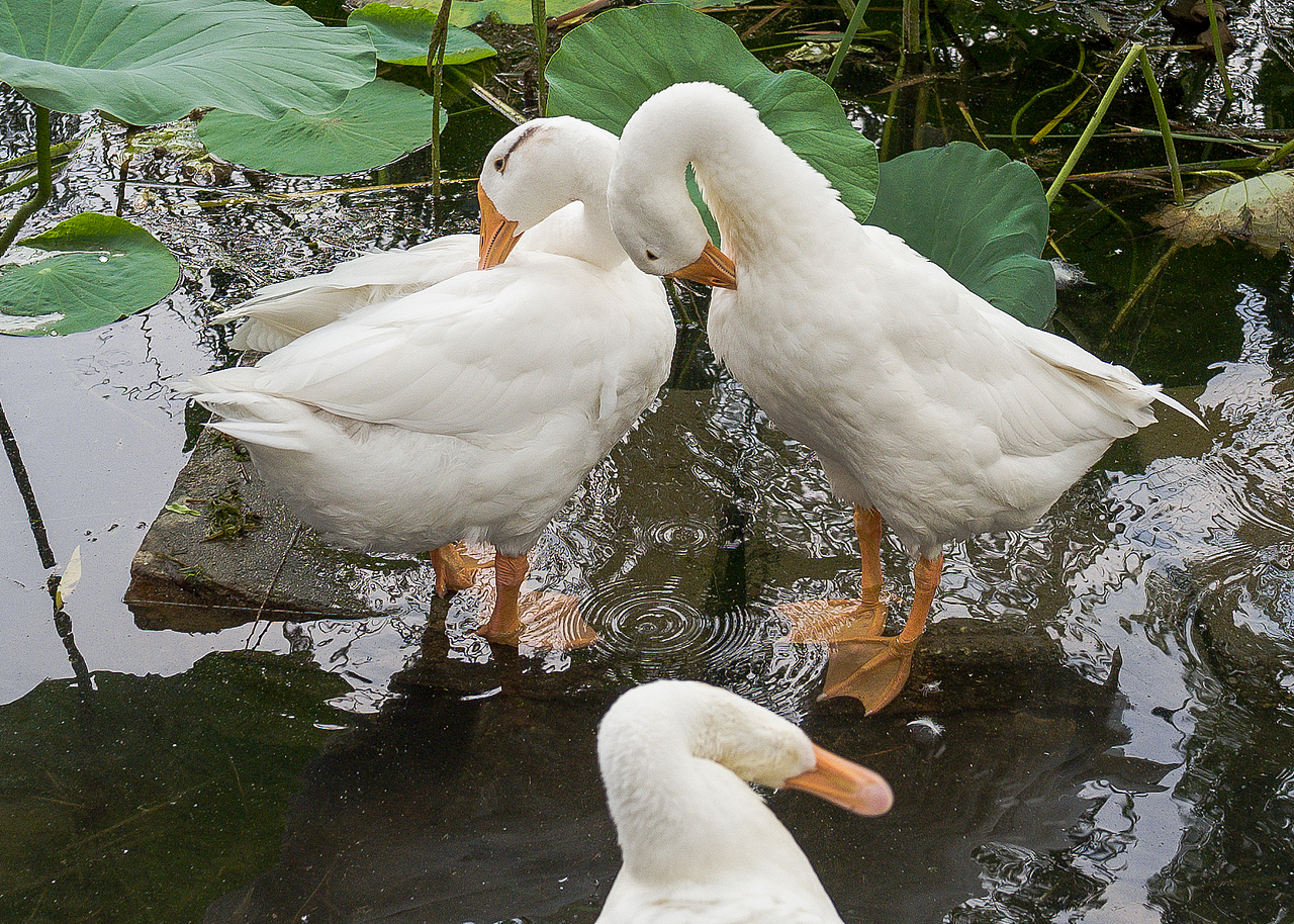 街头摄影创作/合集02