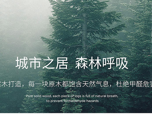 普通网页首页