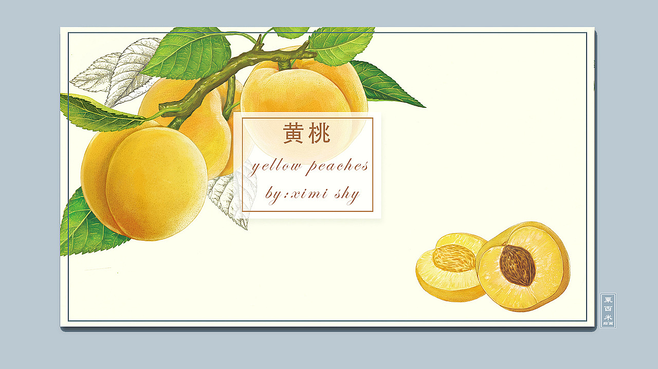 水果罐头包装插画——中粮梅林（图ZMTg4NjQzMTA4） - 商业插画 - 站酷设计师粟西米设计工作室原创素材 - 站酷ZCOOL