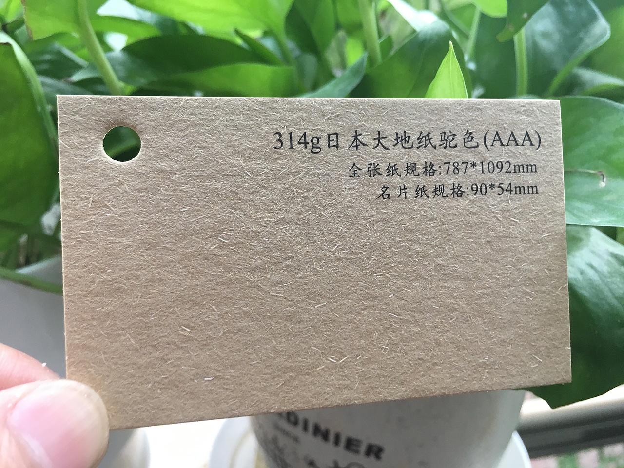 2019款特种纸艺术纸实物展示样册