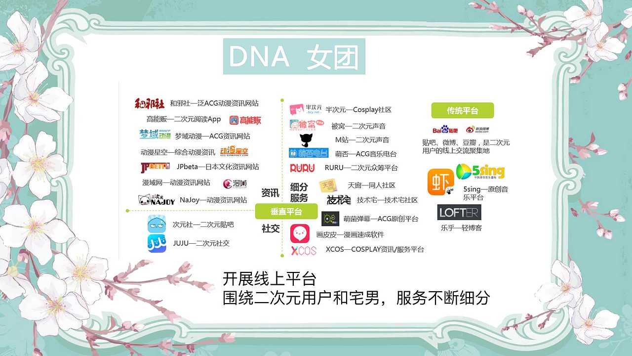 期末作业——DNA女团发展前景分析