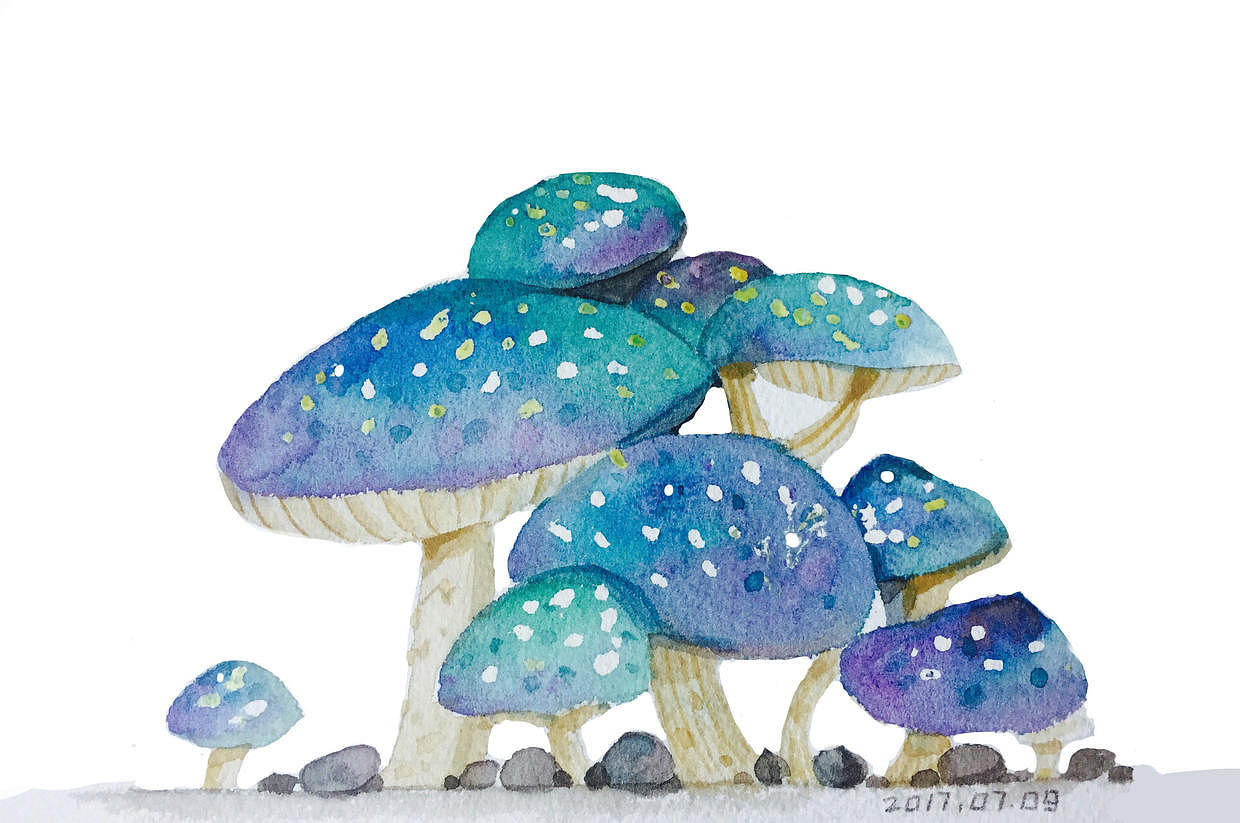 毒蘑菇绘画图片