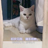 huang咻咻咻的头像