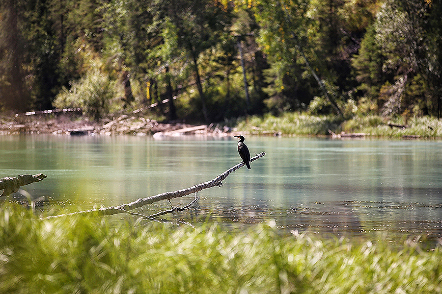 矫情到不行的北疆行/一人一车 一意孤行（图ZNjA1MjIzNTI=） - 风光摄影 - 站酷设计师美的电商原创素材 - 站酷ZCOOL